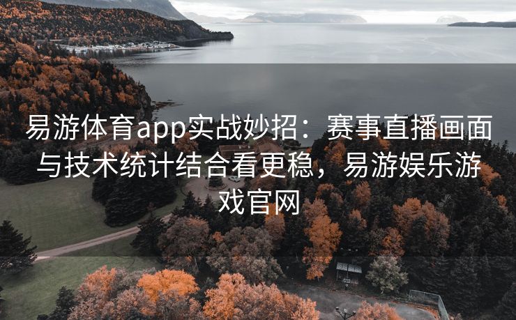 易游体育app实战妙招：赛事直播画面与技术统计结合看更稳，易游娱乐游戏官网