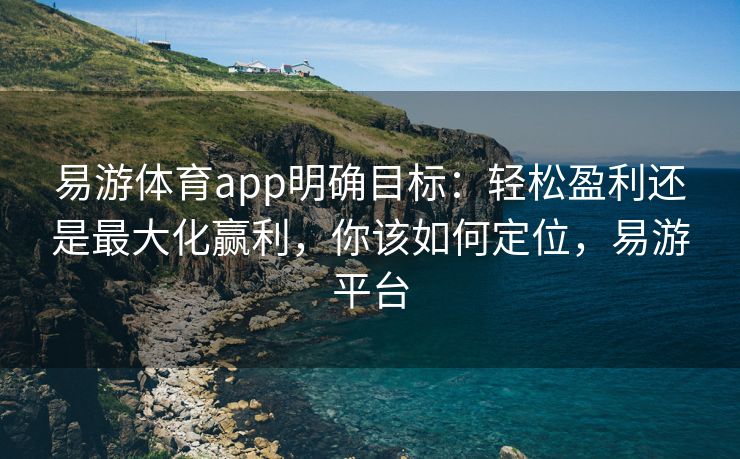 易游体育app明确目标：轻松盈利还是最大化赢利，你该如何定位，易游平台