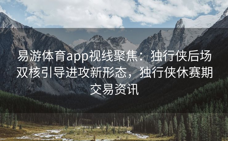易游体育app视线聚焦：独行侠后场双核引导进攻新形态，独行侠休赛期交易资讯