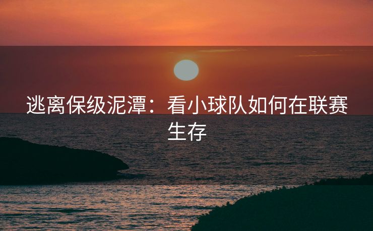 逃离保级泥潭：看小球队如何在联赛生存