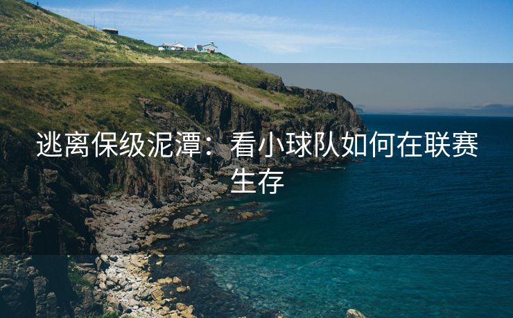 逃离保级泥潭：看小球队如何在联赛生存  第2张